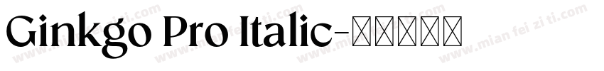 Ginkgo Pro Italic字体转换